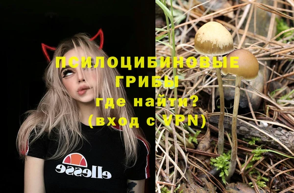 винт Горняк