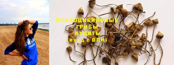 прущие крисы Волоколамск