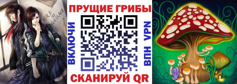 Псилоцибиновые грибы ЛСД  Злынка 
